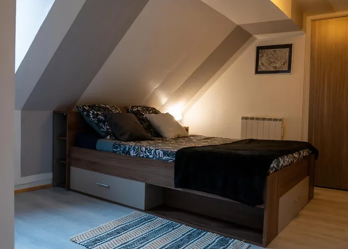 Appartement Au Centre Ville Historique Le Vieux Langres